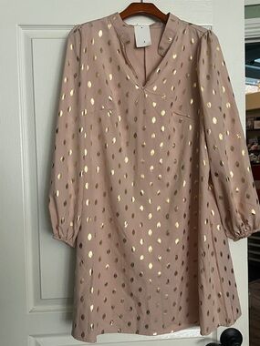Source Unknown Blush Pink Dress with Gold Dot Accents